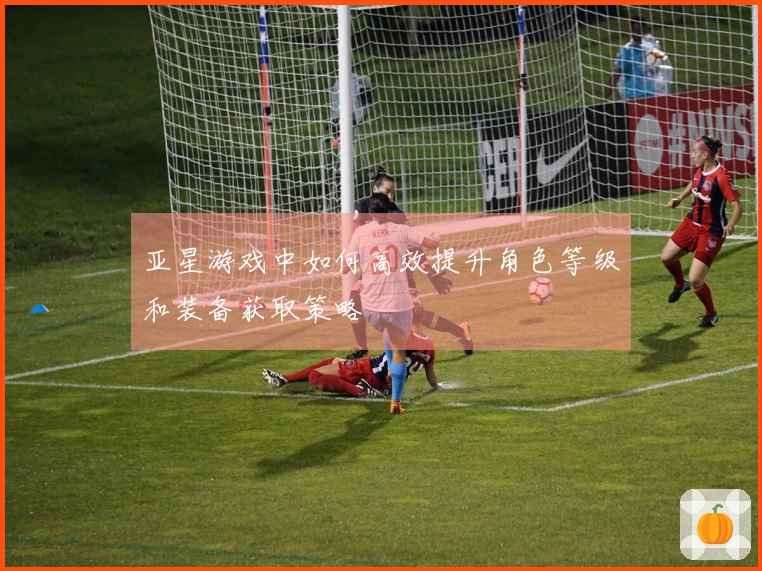 亚星游戏中如何高效提升角色等级和装备获取策略