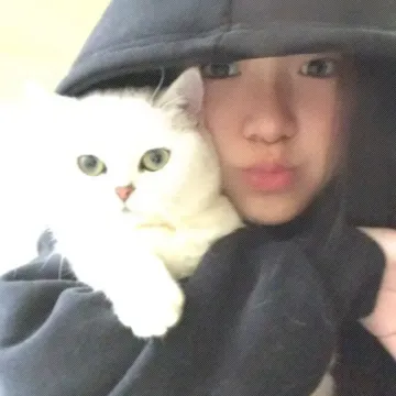 北纬用户
